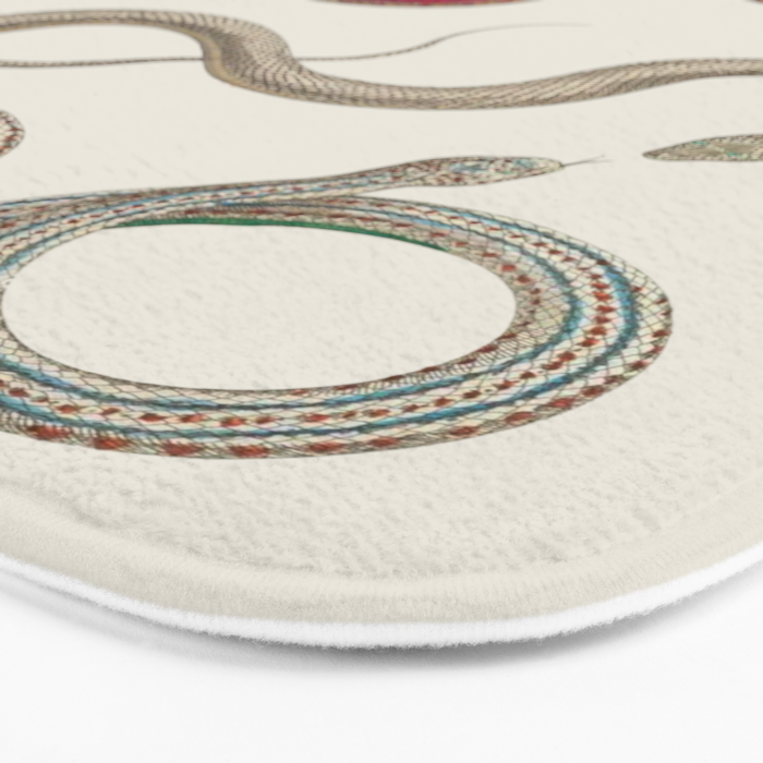 Albertus Seba Snakes Illustration Leopard Snake  Bath Mat Gallery Image 3