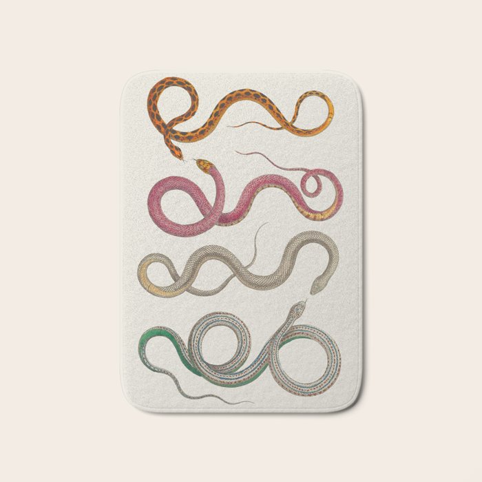 Albertus Seba Snakes Illustration Leopard Snake  Bath Mat Gallery Image 1