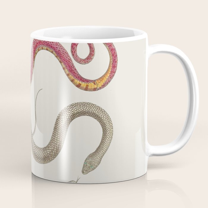Albertus Seba Snakes Illustration Leopard Snake  Coffee Mug Gallery Image 1