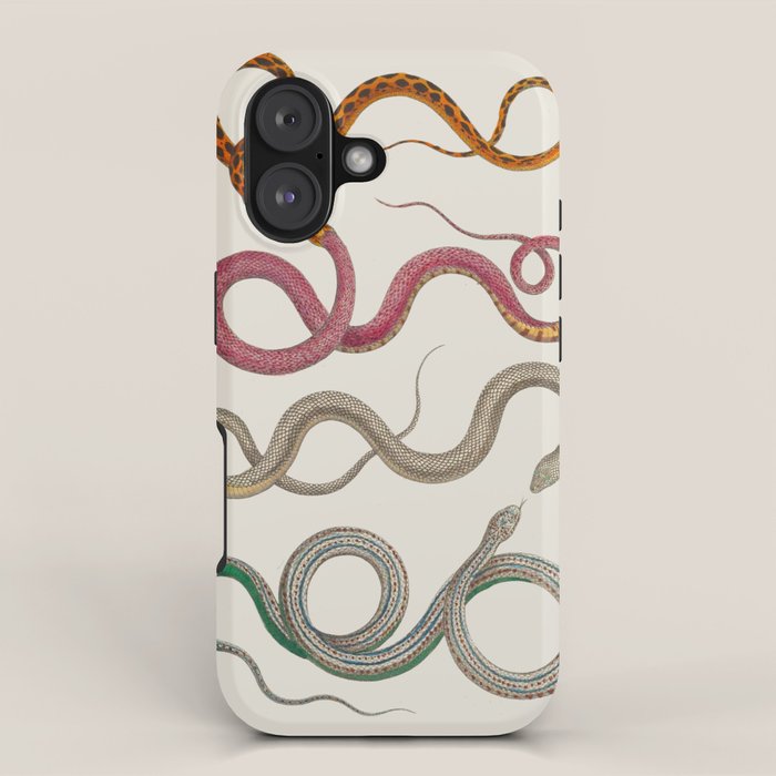 Albertus Seba Snakes Illustration Leopard Snake  iPhone Case Gallery Image 1
