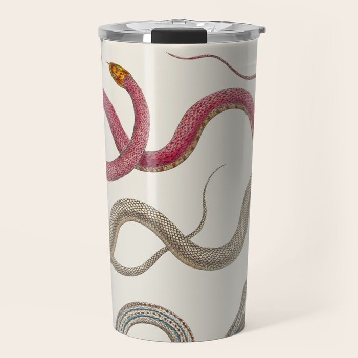 Albertus Seba Snakes Illustration Leopard Snake  Travel Mug Gallery Image 1