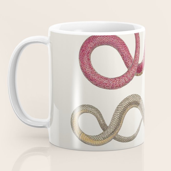 Albertus Seba Snakes Illustration Leopard Snake  Coffee Mug Gallery Image 3