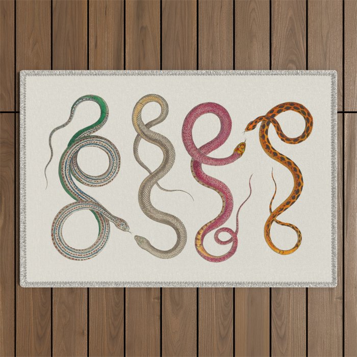 Albertus Seba Snakes Illustration Leopard Snake  Outdoor Rug Gallery Image 1