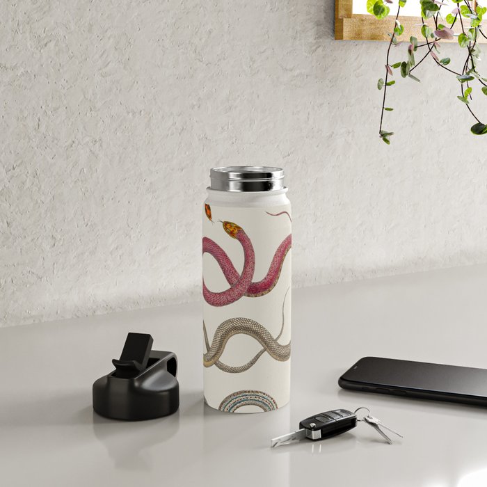 Albertus Seba Snakes Illustration Leopard Snake  Water Bottle Gallery Image 4
