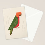 Australian King Parrot, Bird of Australia Stationery Card Gallery Image 2