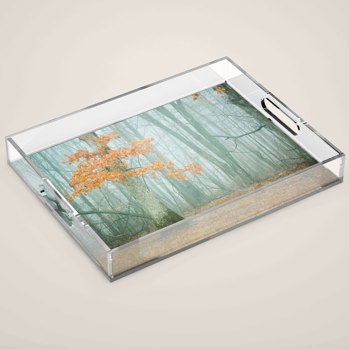 Autumn Woods Acrylic Tray Gallery Image 1