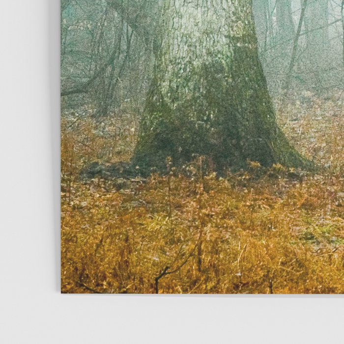 Autumn Woods Poster Gallery Image 3