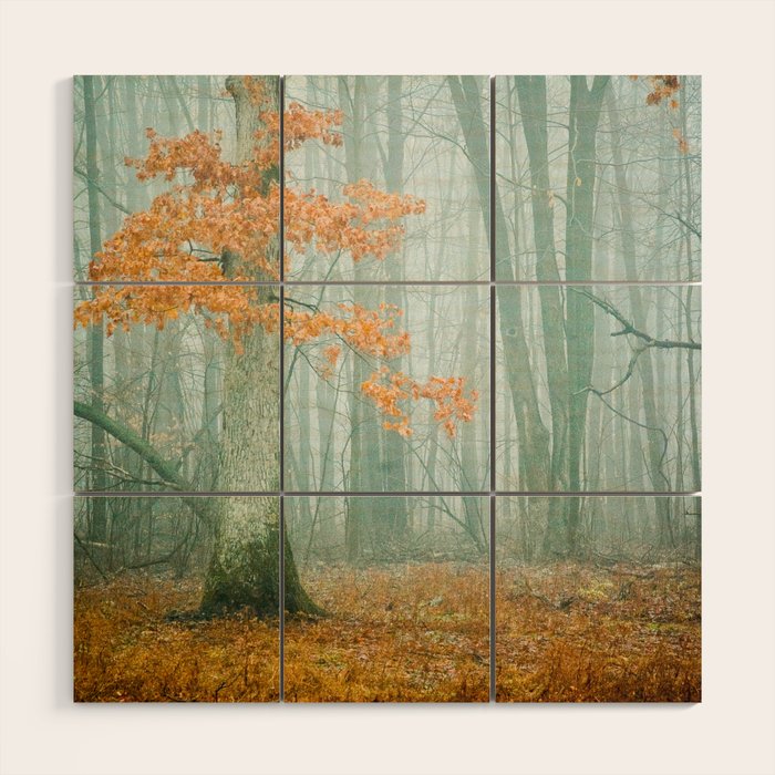 Autumn Woods Wood Wall Art Gallery Image 1