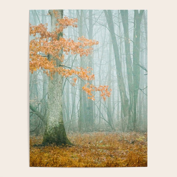 Autumn Woods Poster Gallery Image 4