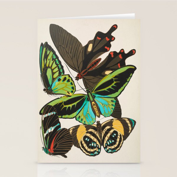 Vintage Butterfly Illustration EA Seguy Papillon Stationery Card Gallery Image 2