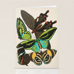 Vintage Butterfly Illustration EA Seguy Papillon Stationery Card Gallery Image 2