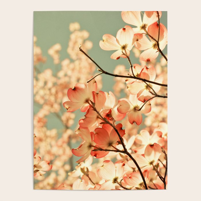 Pink Flowers on a Spring Day Poster Gallery Image 1