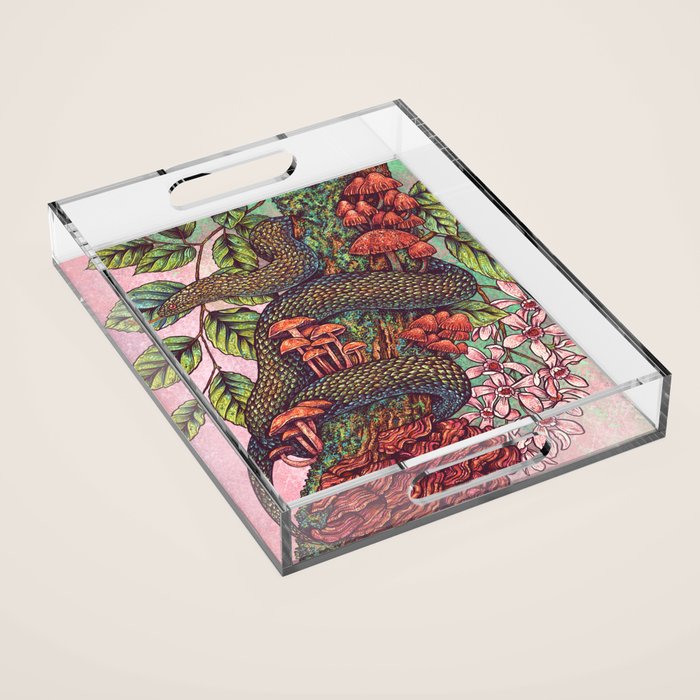 Year of the Snake 2025 Acrylic Tray Gallery Image 1