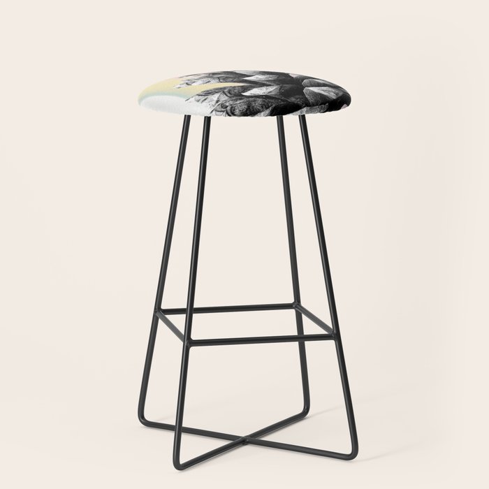 pinecone nature II Stool Gallery Image 1