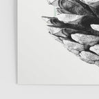 pinecone nature II Poster Gallery Image 3