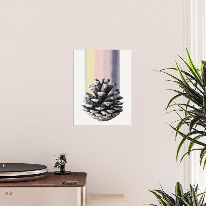 pinecone nature II Poster Gallery Image 2