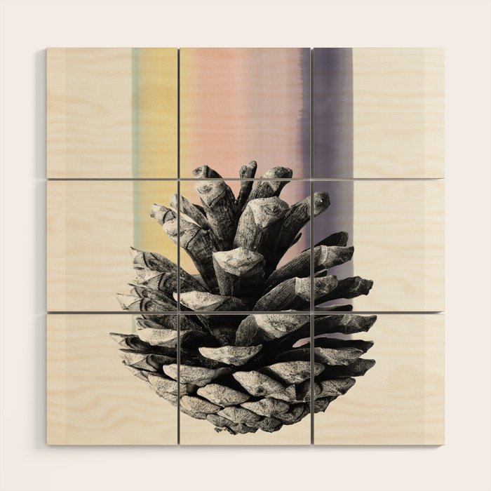 pinecone nature II Wood Wall Art Gallery Image 1