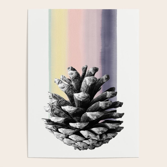 pinecone nature II Poster Gallery Image 4