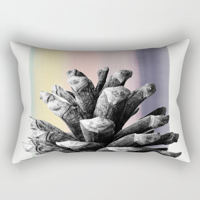 pinecone nature II Rectangular Pillow Gallery Image 2