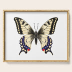 Swallowtail Butterfly - butterfly art, painted butterfly, butterfly design, sweet butterflies Serving Tray Gallery Image 1