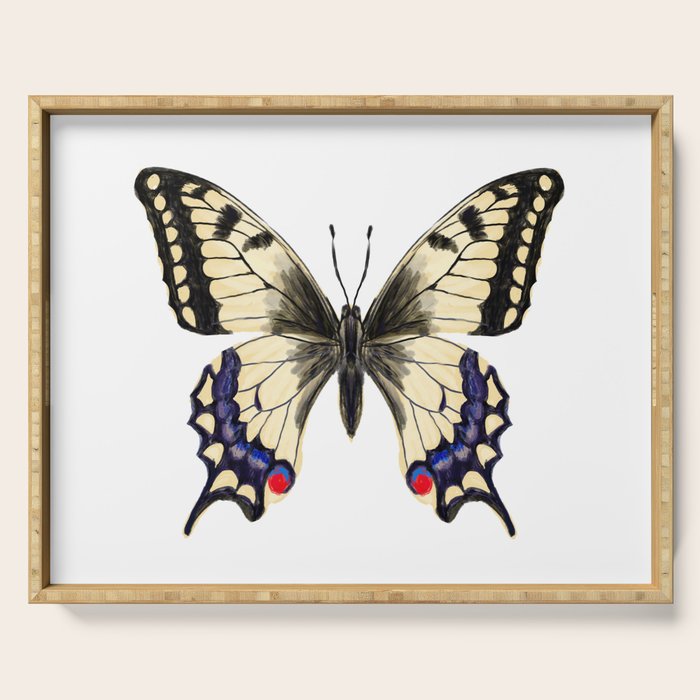 Swallowtail Butterfly - butterfly art, painted butterfly, butterfly design, sweet butterflies Serving Tray Gallery Image 1