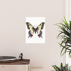 Swallowtail Butterfly - butterfly art, painted butterfly, butterfly design, sweet butterflies Poster Gallery Image 2