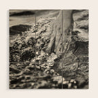 Running hand through the water, under the blue again black and white photograph / art photography Wood Wall Art Gallery Image 1