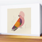 Galah Wall Mural Gallery Image 2