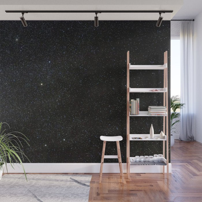 Sagitta Constellation in Real Night Sky, The Arrow Constellation Starry Sky Wall Mural Gallery Image 1
