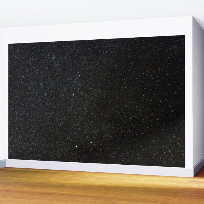 Sagitta Constellation in Real Night Sky, The Arrow Constellation Starry Sky Wall Mural Gallery Image 2