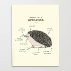Anatomy of a Hedgehog Notebook Gallery Image 4