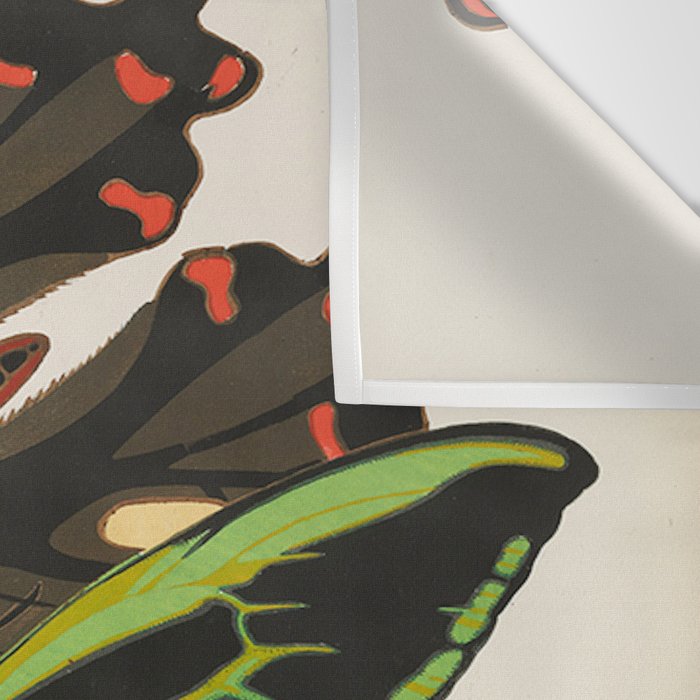 Vintage Butterfly Illustration EA Seguy Papillon Wall Tapestry Gallery Image 3