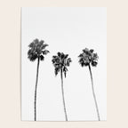 Black + White Palm Trees Poster Gallery Image 4