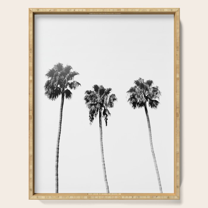 Black + White Palm Trees Serving Tray Gallery Image 1