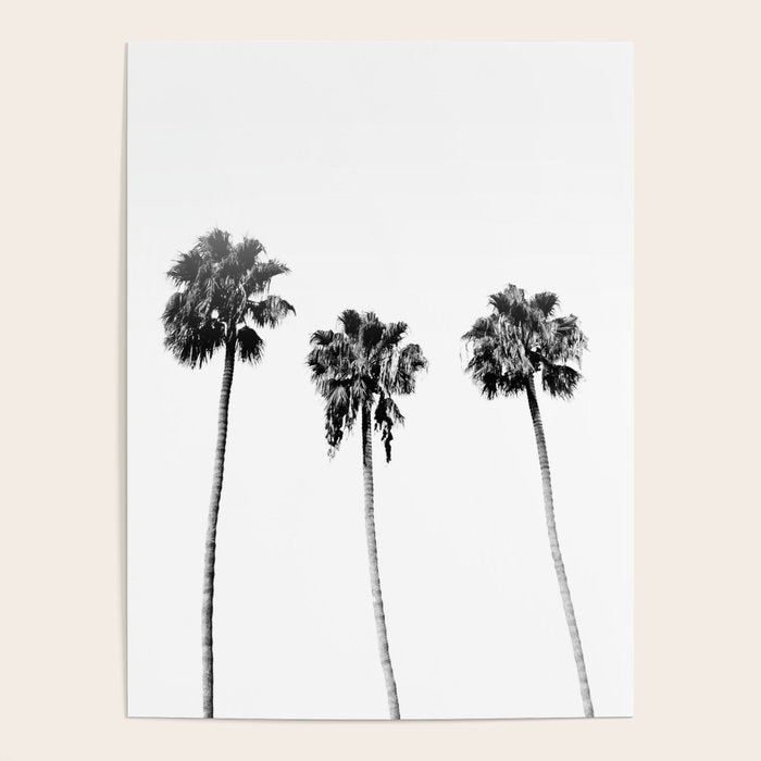 Black + White Palm Trees Poster Gallery Image 1
