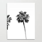 Black + White Palm Trees Notebook Gallery Image 4
