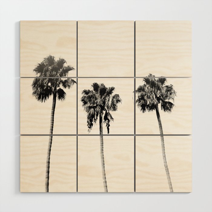 Black + White Palm Trees Wood Wall Art Gallery Image 1