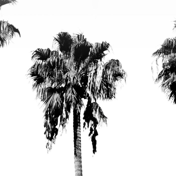 Black + White Palm Trees Coffee Mug Gallery Image 2