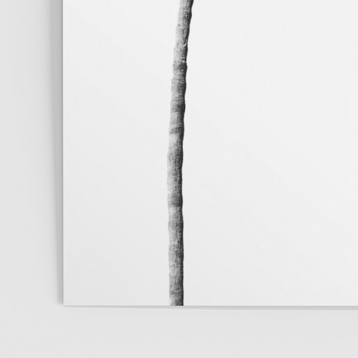 Black + White Palm Trees Poster Gallery Image 3