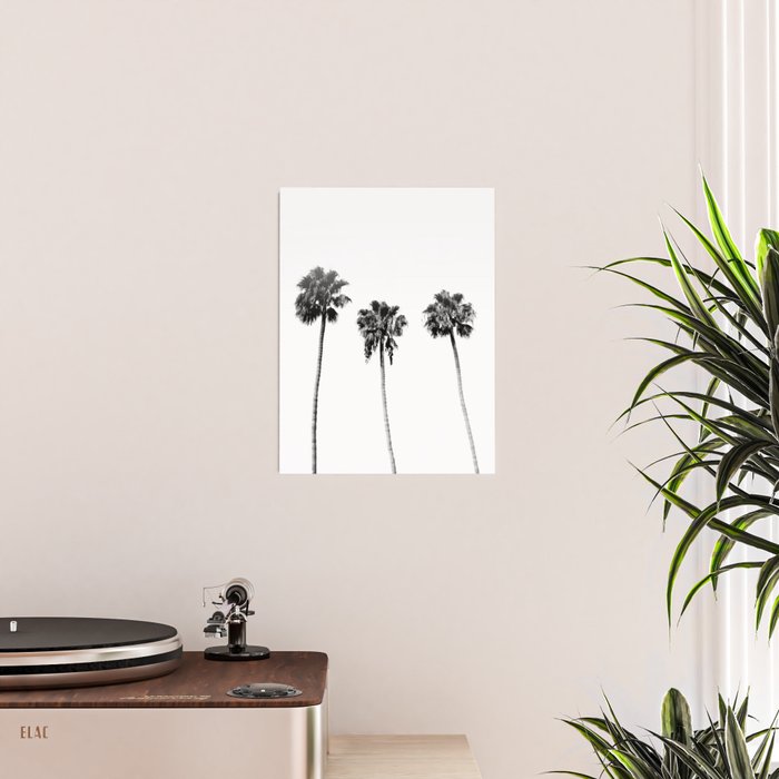 Black + White Palm Trees Poster Gallery Image 2
