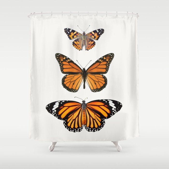 Monarch Butterflies III Shower Curtain Gallery Image 1