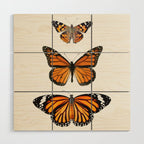 Monarch Butterflies III Wood Wall Art Gallery Image 1
