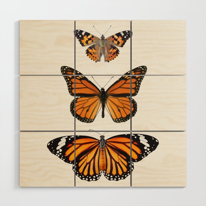 Monarch Butterflies III Wood Wall Art Gallery Image 1