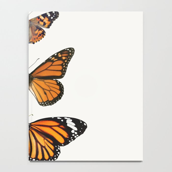 Monarch Butterflies III Notebook Gallery Image 4