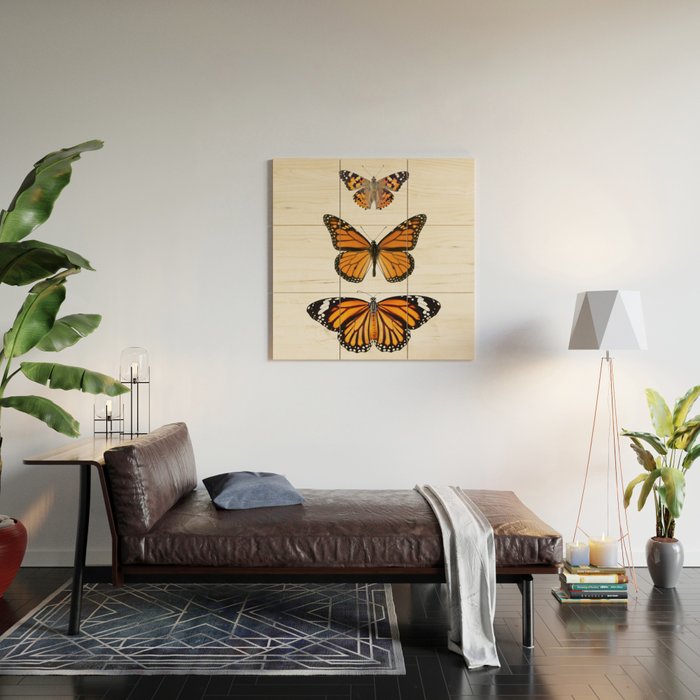 Monarch Butterflies III Wood Wall Art Gallery Image 2