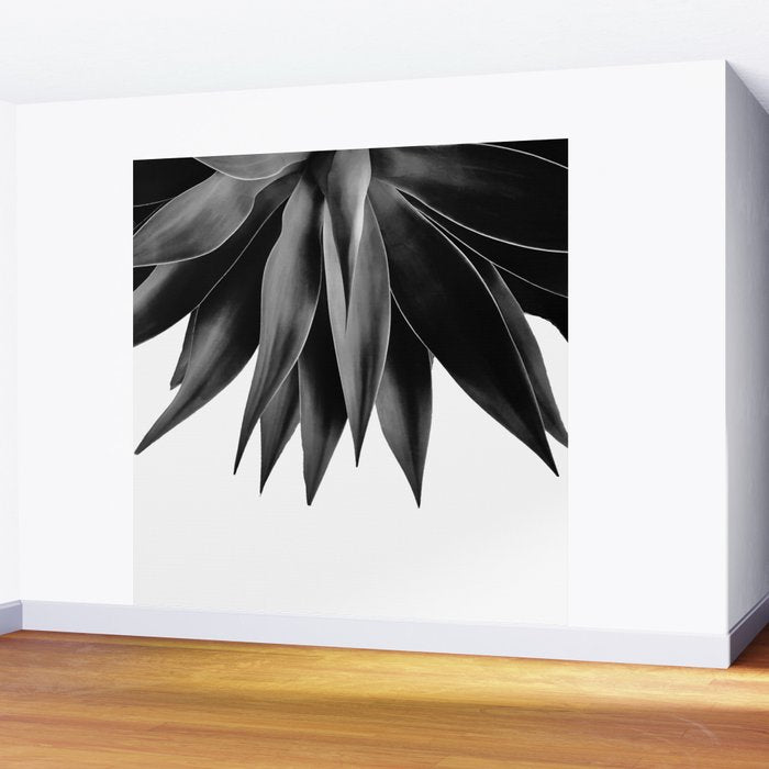 Agave fringe - noir Wall Mural Gallery Image 2