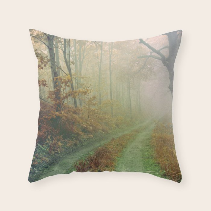 Autumn Road Throw Pillow Gallery Image 1