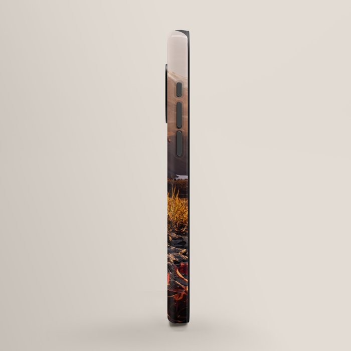 Believe in Miracles - Mount Rainier National Park iPhone Case Gallery Image 2