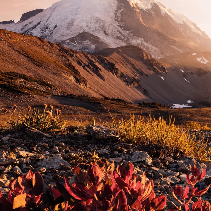Believe in Miracles - Mount Rainier National Park Coffee Mug Gallery Image 2