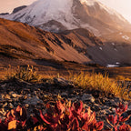 Believe in Miracles - Mount Rainier National Park Coffee Mug Gallery Image 2